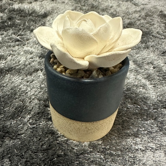 Demdaco Succulent 3 x 5 Stoneware Decorative Tabletop Oil Diffuser - Picture 9 of 11